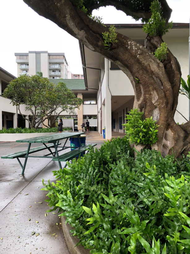 Parents and friends waited anxiously as many students took the SAT in Dillingham hall at Punahou School on Dec. 2. Photo by Eugene An 2017.