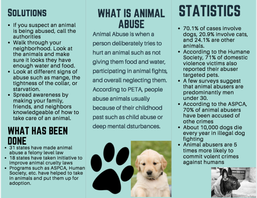 What is animal abuse?
