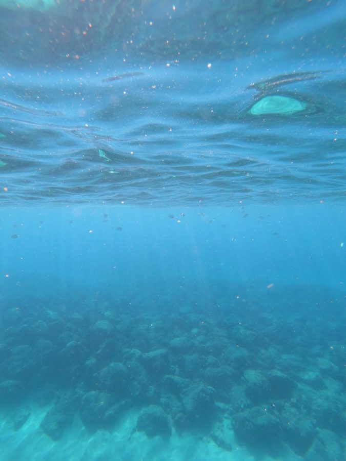 The clear calm waters of Electric Beach on Saturday, Oct. 14 show how beaches would look without pollution in the environment. Electric Beach is known for its amazing snorkeling adventures as it is one of the most fascinating and clean beaches on the island of Oahu. Anything from turtles to sharks to even dolphins are regularly spotted in this sandy and secluded spot. Photo by Isaiah Millen.