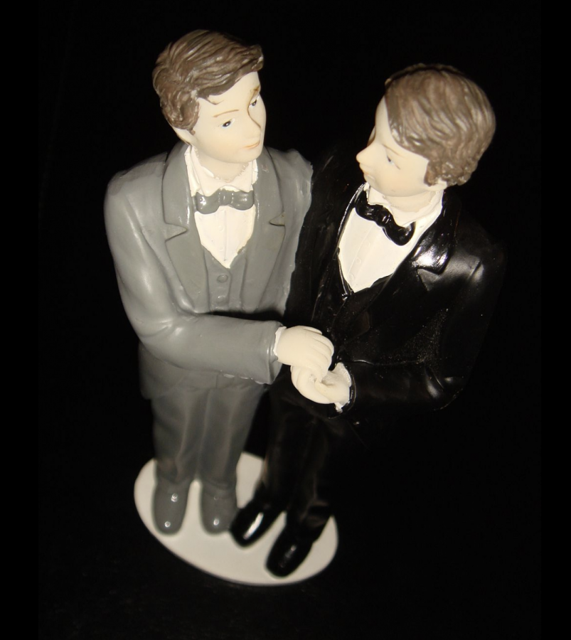 Gay couple for wedding cake. Photo by Stefano Bolognini. Wiki Commons 2020.