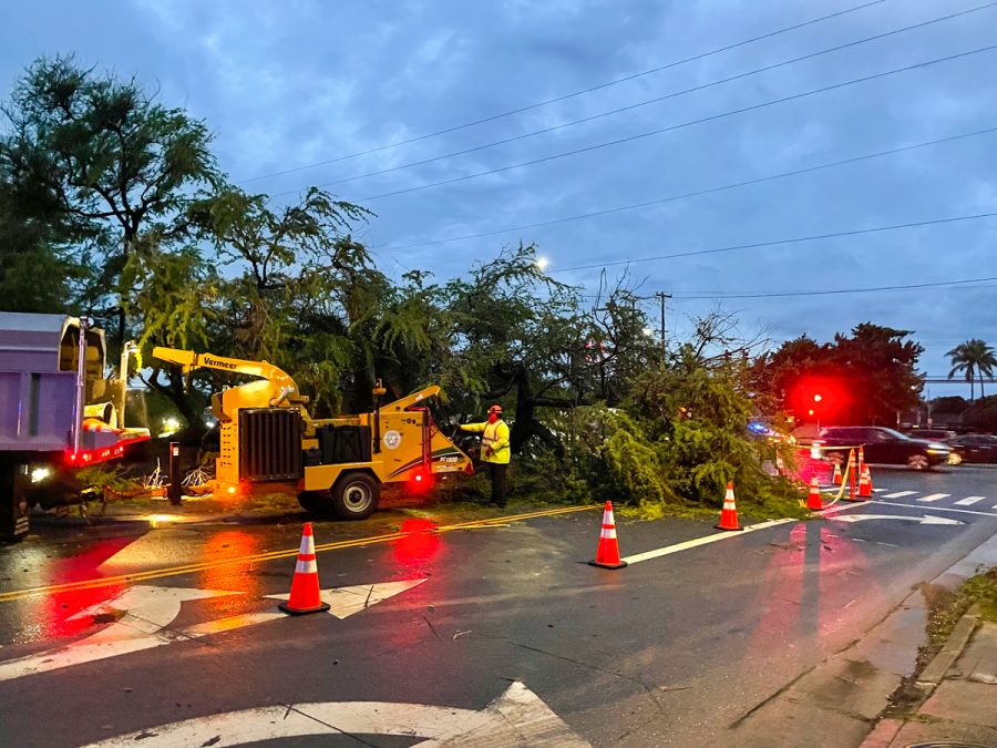 City workers feed sawed-off pieces of a giant monkeypod tree into a wood chipper aafter a huge storm caused it to fall and block Kalani’iki Street and the main entrance to Kalani High School at 6 a.m. on Tuesday, Dec. 7. The tree was partially cleared and the entrance opened by the start of school. “It was actually less crowded for me,” Mina Kohara (11) said. “Probably people stayed home.” Photo by Ms. Nasser.