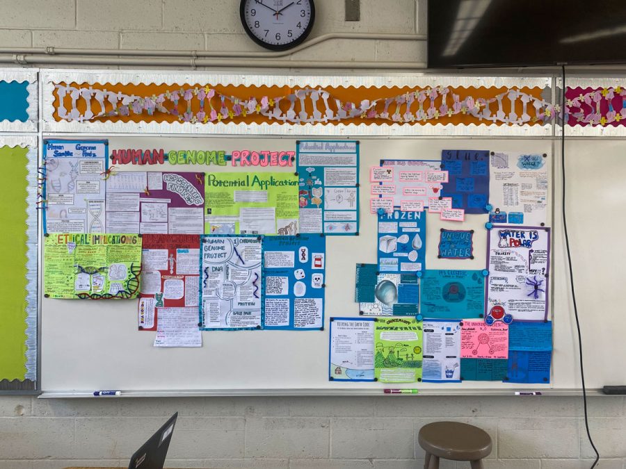 Ms. Satos bulletin board showcases some of the work and learning that takes place in her Marine Science class, D-11. 