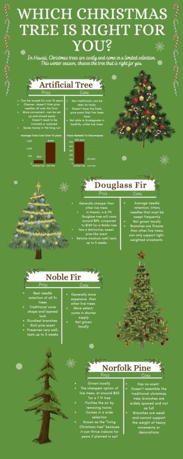 An examination of Christmas tree options for Hawaii residents. 