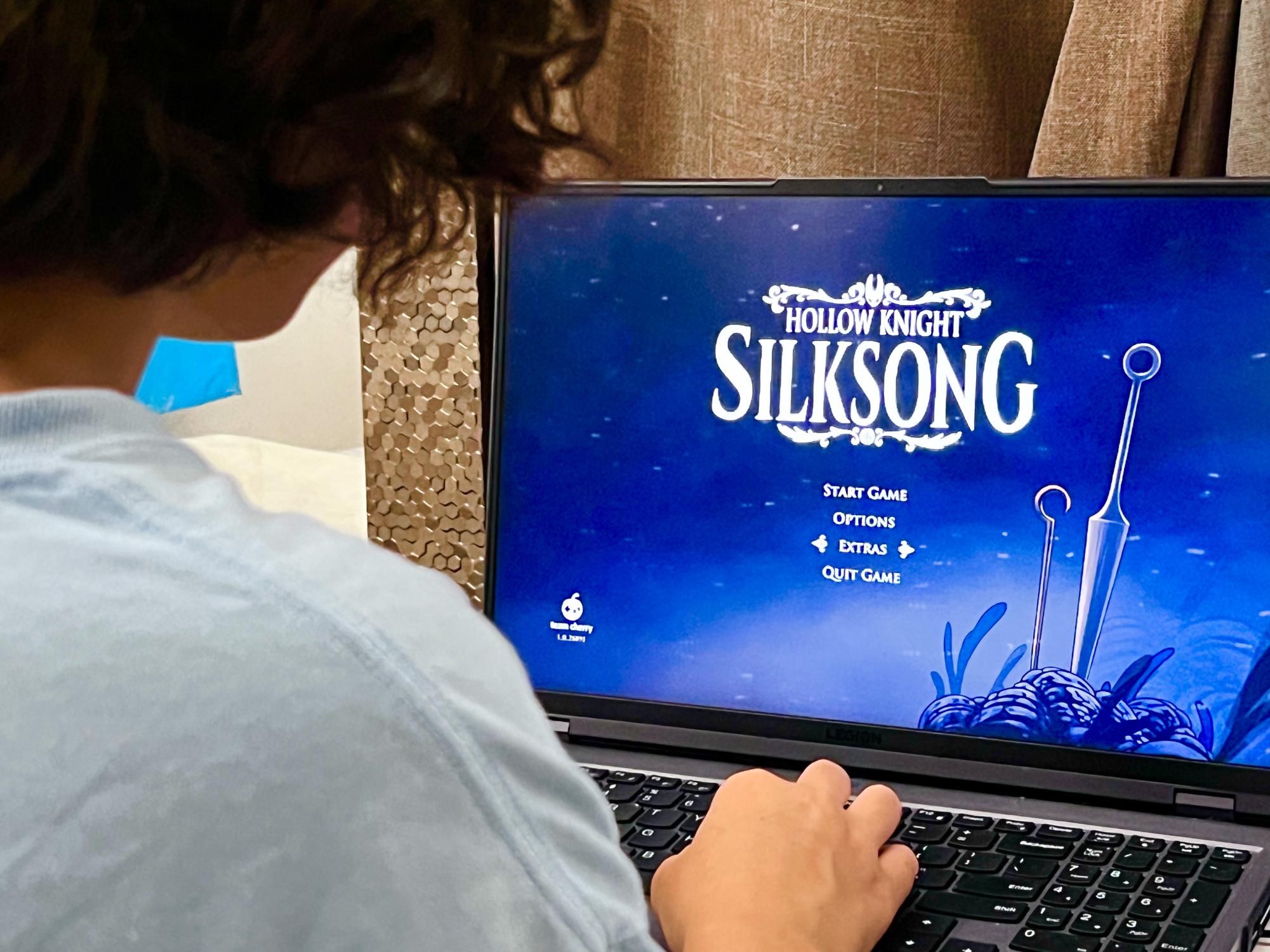 My favorite version of Silksong’s title screen, Act Three’s ending (the screen changes based on what act or ending you last did). It’s so simple but so touching. In every other title screen, Hornet’s needle stands alone; but in this one, Lace’s pin can also be seen. Hornet has seen so many she cared for pass away; she’s learnt to walk alone through the hardships. But not anymore, this simple screen represents the enormous change that Hornet is no longer alone.